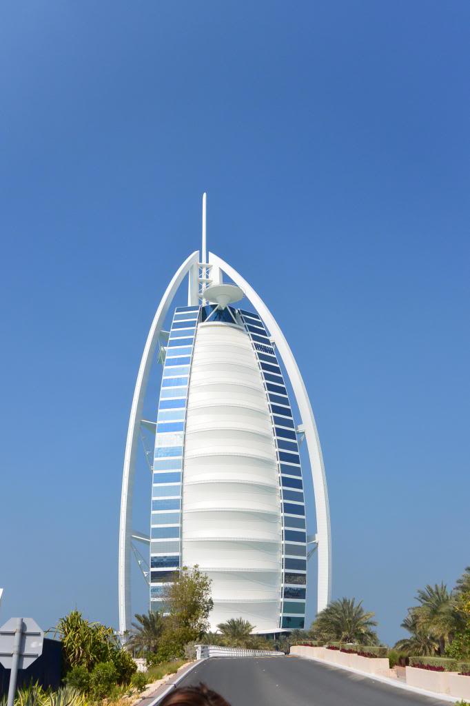 DSC_1954_zps376119f1.jpg