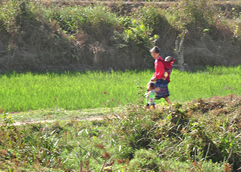 DSC_6776-1.jpg