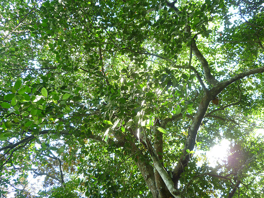 P1070286_zpsa20f7f06.jpg