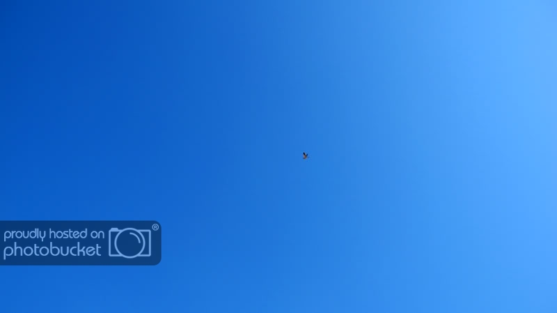 IMG_8406.jpg