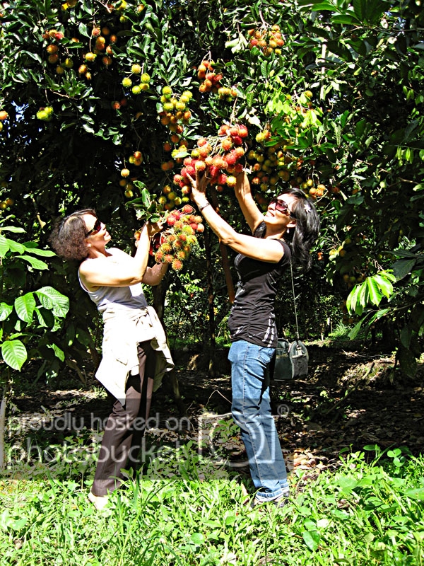 IMG_2566_zps84ef0ed9.jpg