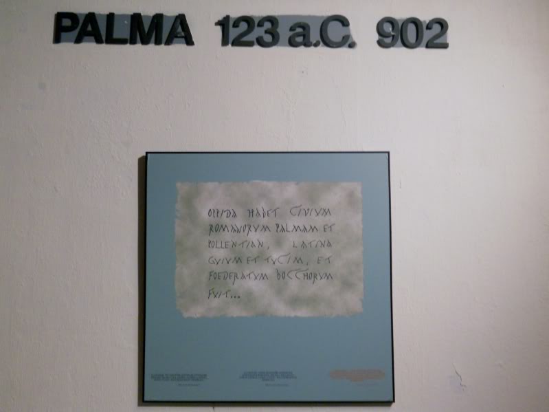 DSCN6575.jpg