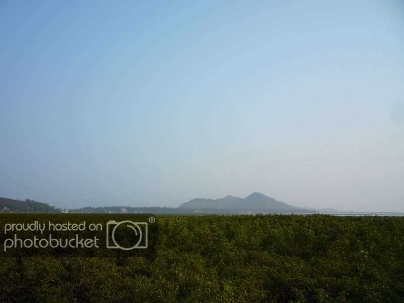 P1030982800x600.jpg