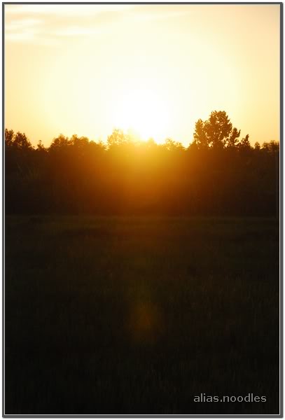 CPC_pre_0036.jpg