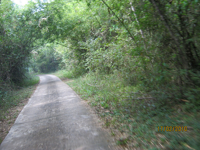 5363293993_1ed50493f8_z.jpg