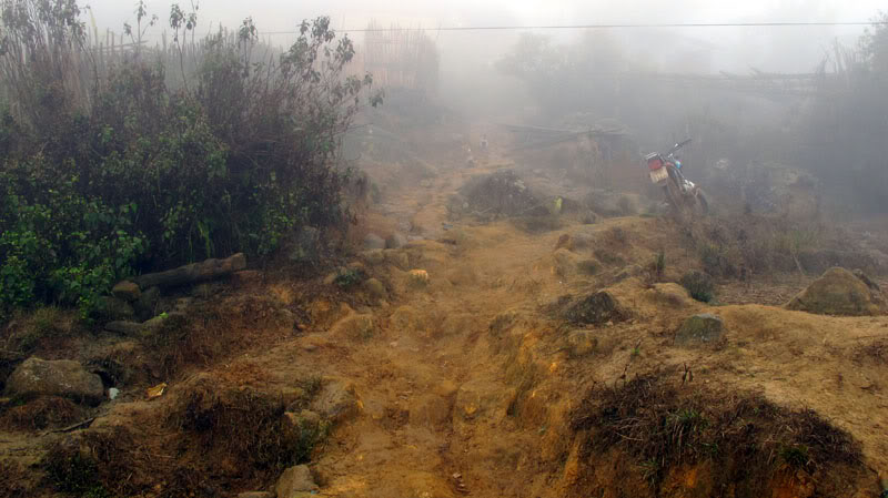 HongNgai2011378.jpg