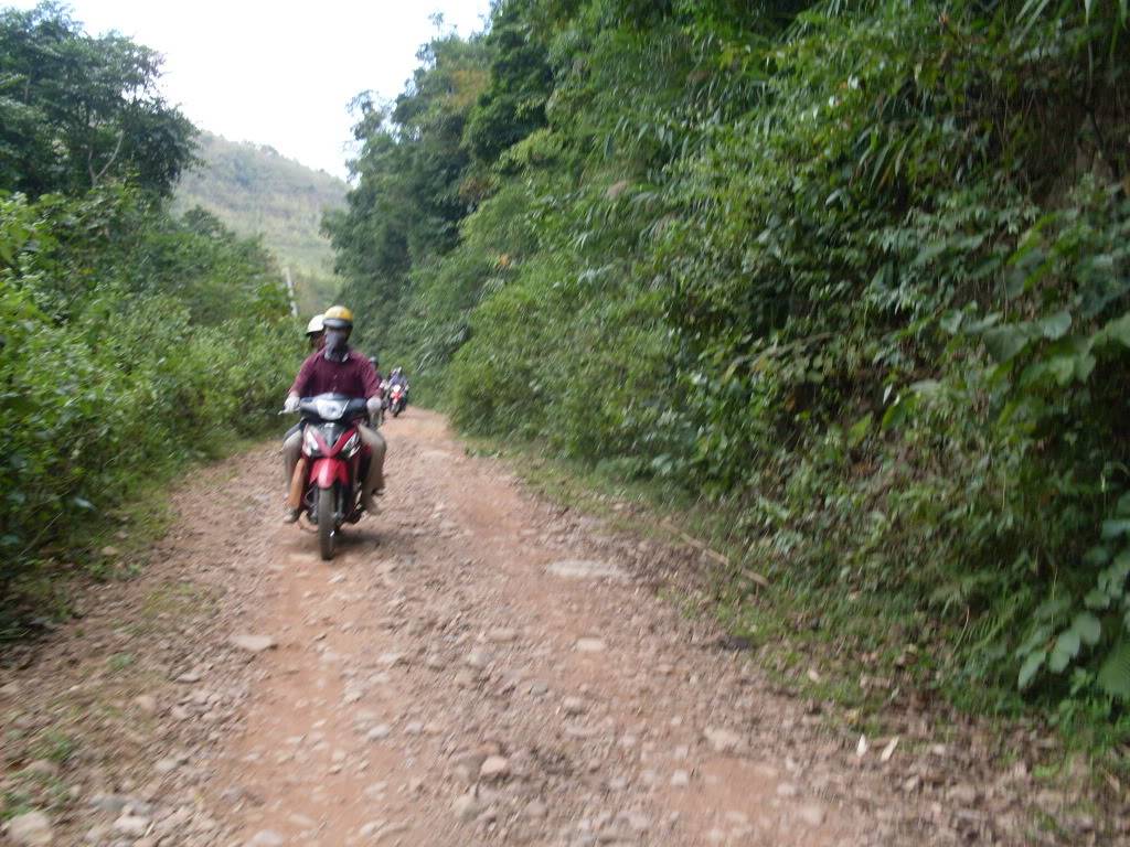 SDC10629.jpg