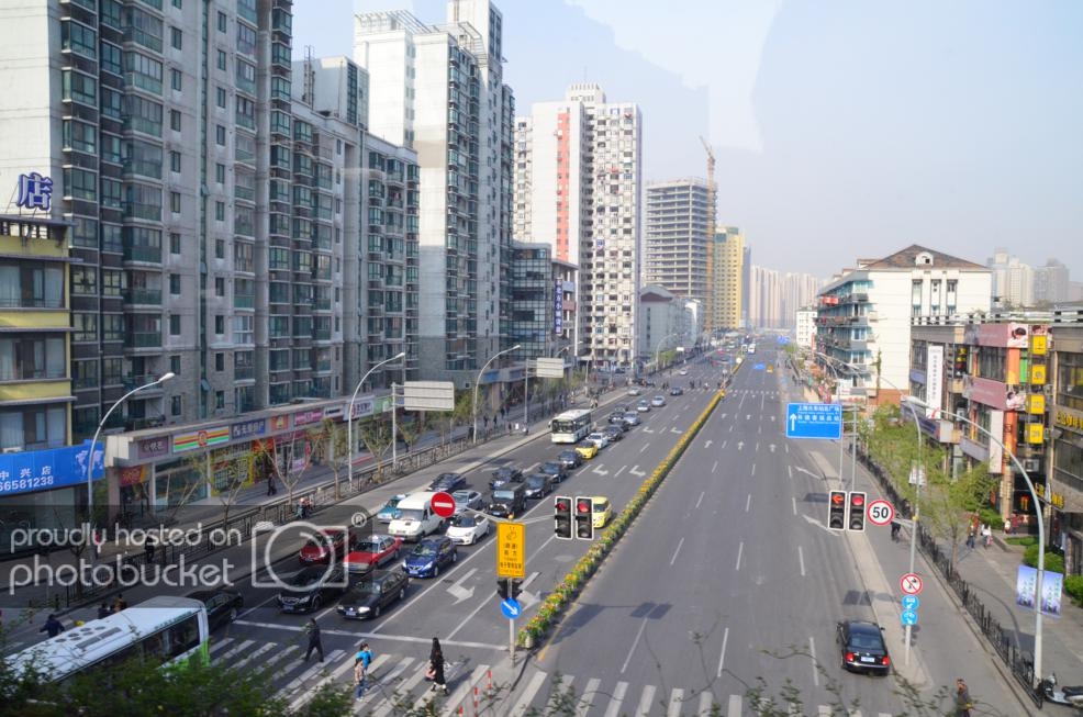 DSC_0247_zps1daa2f49.jpg