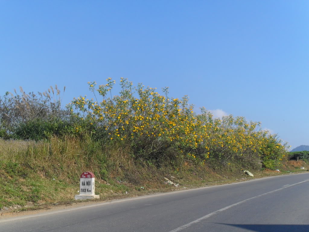 SDC10624.jpg