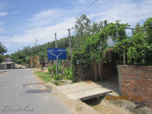 IMG_8236.jpg