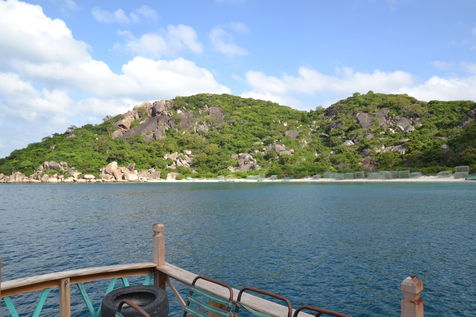 DSC_6397.JPG