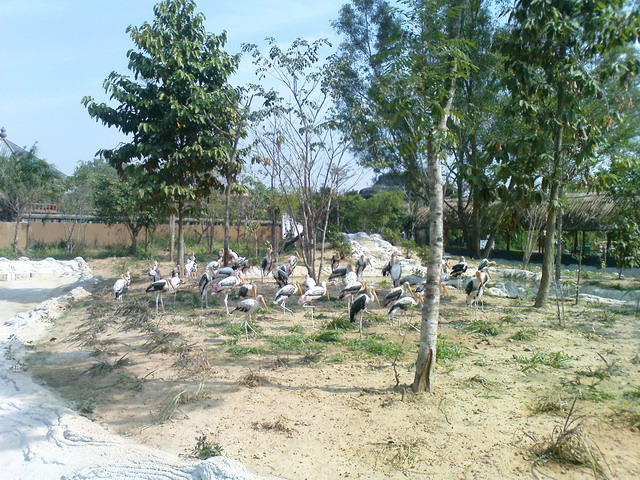 2008-cq-di-dai-nam-04.jpg