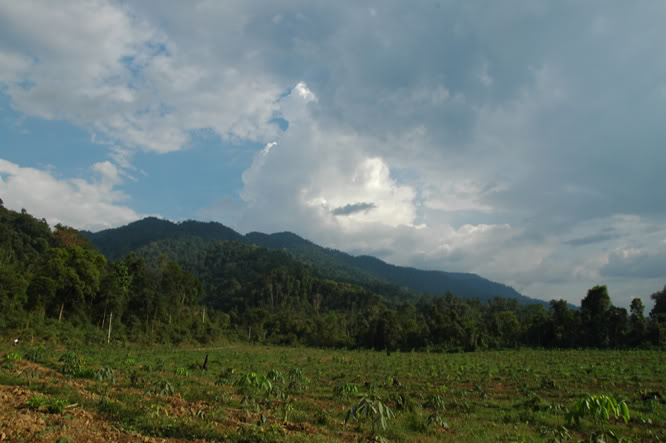 DSC_3659.jpg