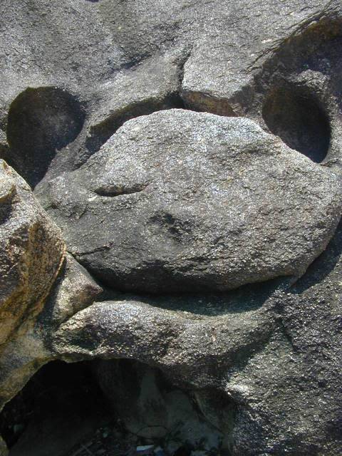 DSCN0047.jpg