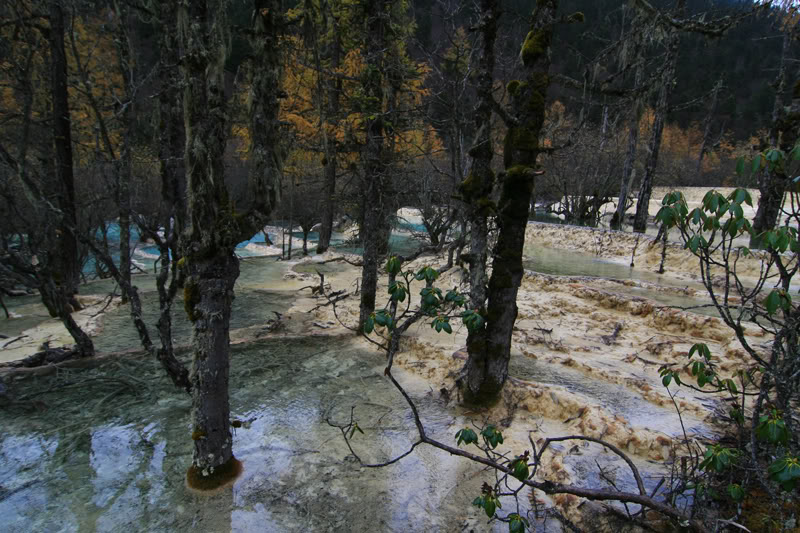hoanglong128.jpg