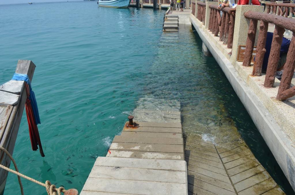 DSC_1935.jpg