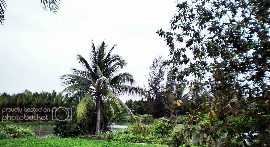 47_zps29e55c72.jpg