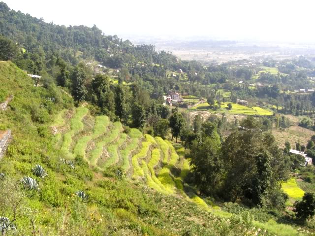 PB030737.jpg