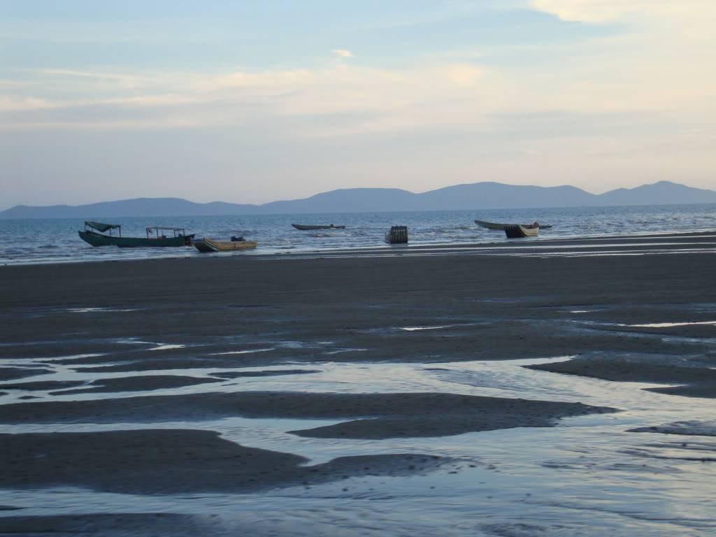 DSC00905.jpg