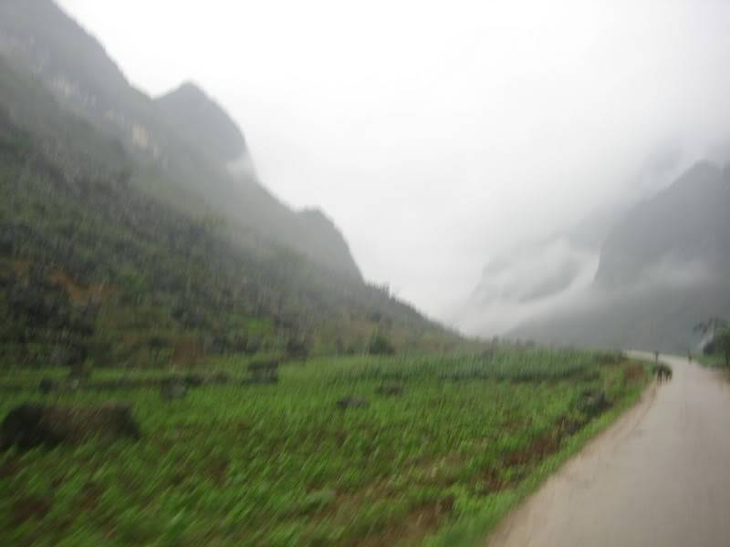 IMG_3322.jpg