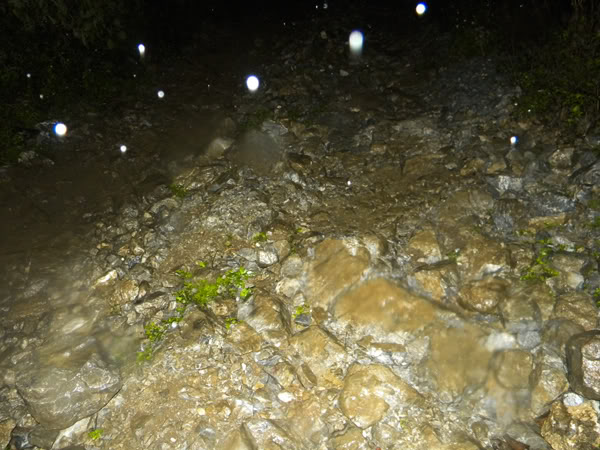 DSCN7315.jpg
