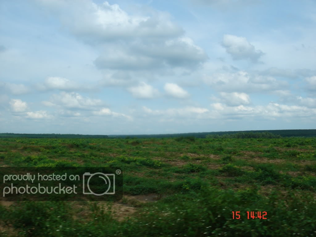 DSC00791.jpg