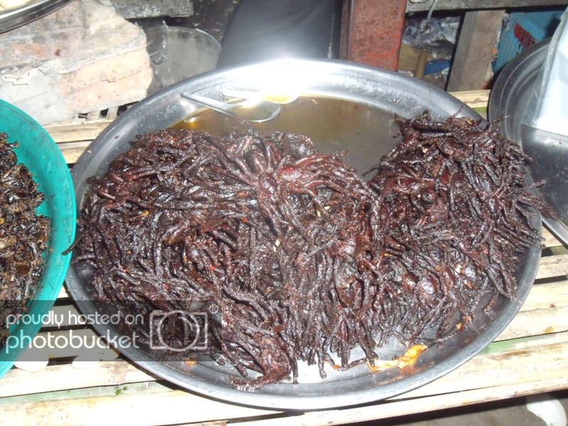 DSCF5874.jpg