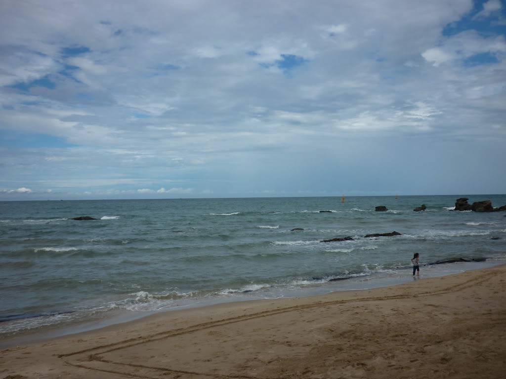 P1030534.jpg