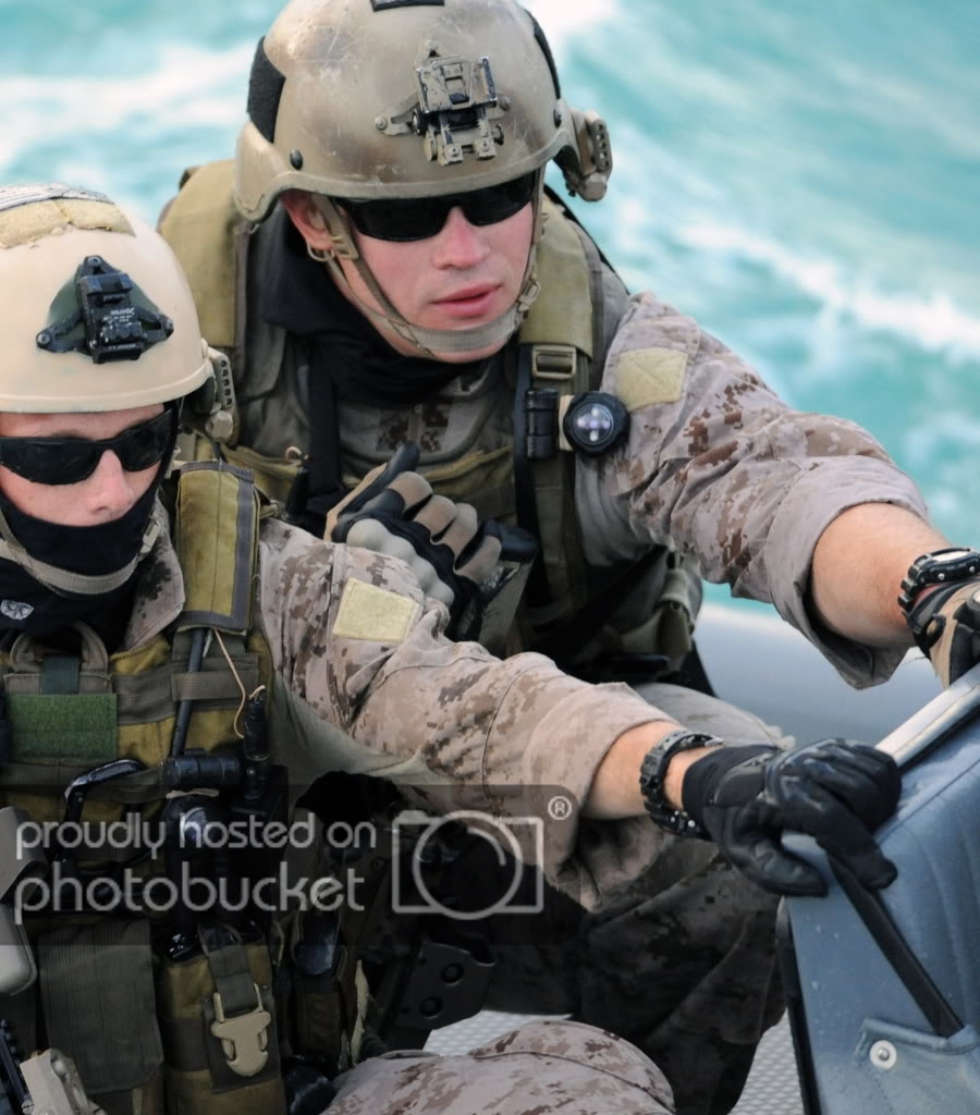 seals.jpg