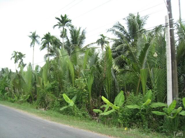 IMG_3540.jpg