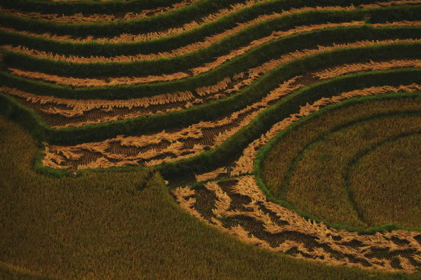 sDSC_6549.jpg