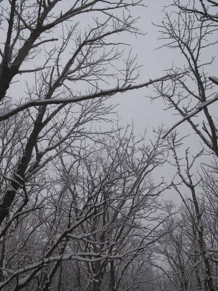 IMG_3272_resize.jpg