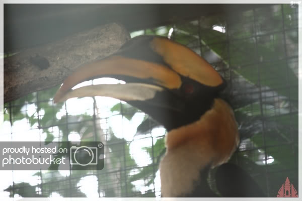 birdpark35.jpg