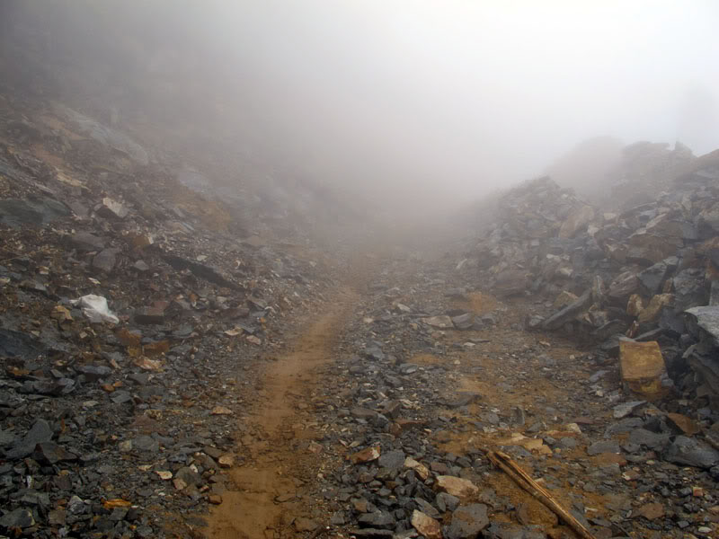 HongNgai2011456.jpg