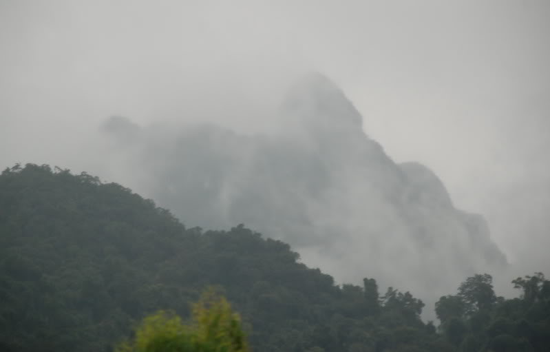 DSC_0276.jpg