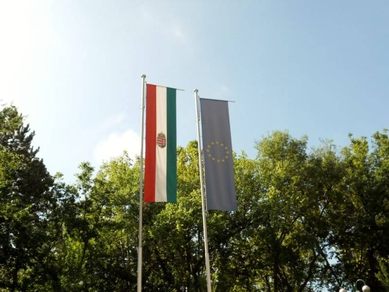 DSCN0179.jpg