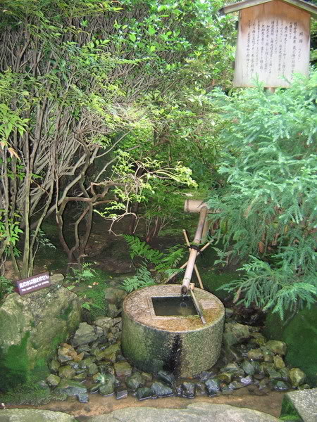 IMG_1232_resize.jpg