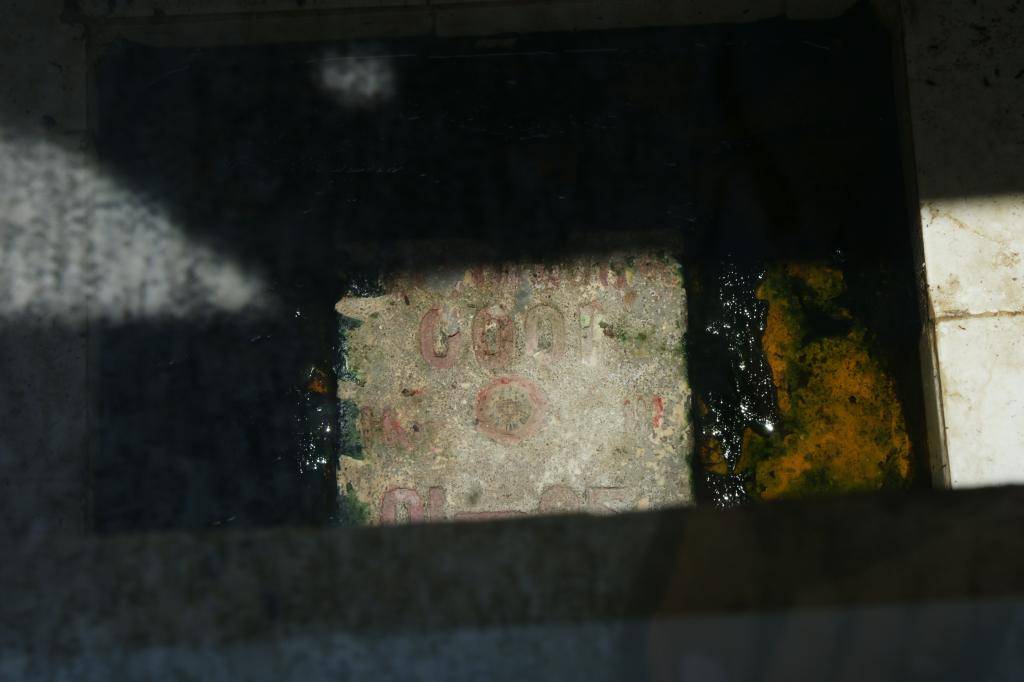 DSC03323_zps009d0a77.jpg