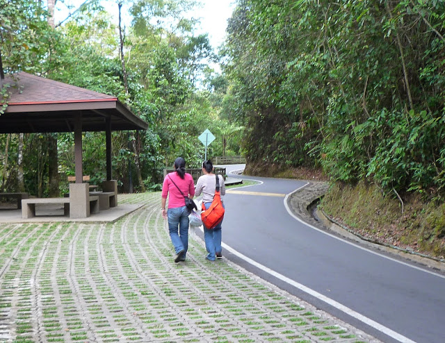 P1100306.JPG