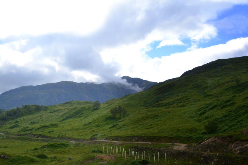 DSC_2743.jpg