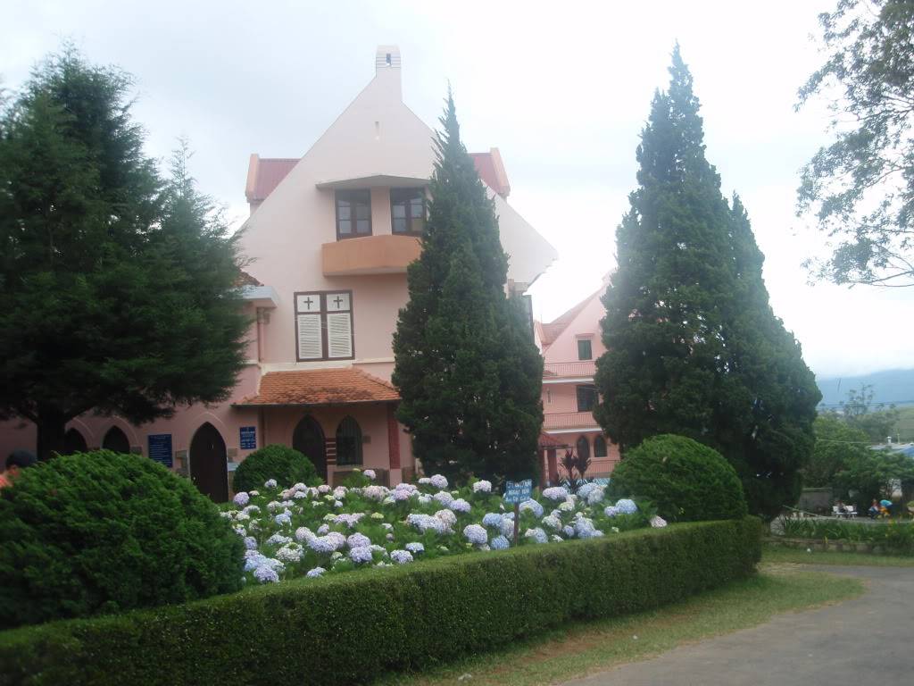 P1014290.jpg