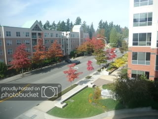 P1010287.jpg