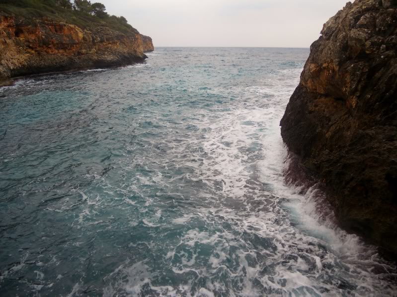 DSCN6435.jpg