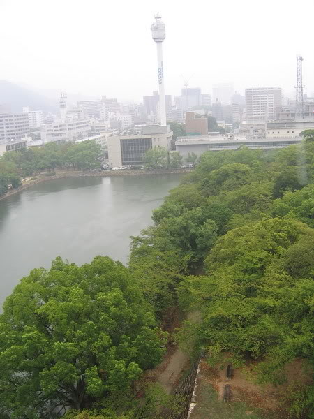 IMG_0851_resize.jpg