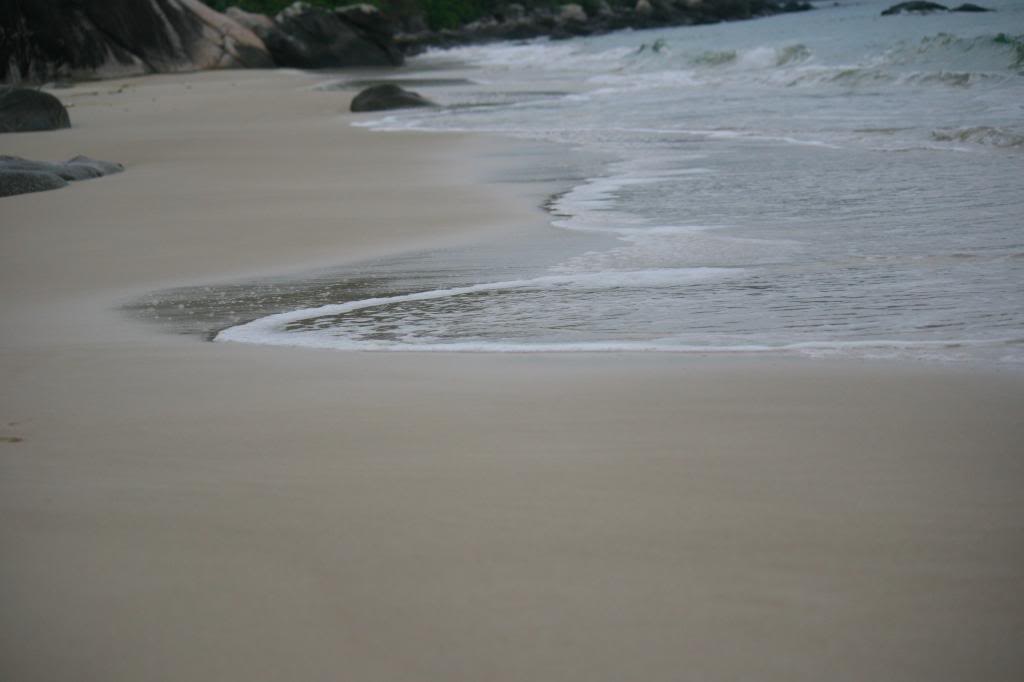 IMG_8824-2.jpg