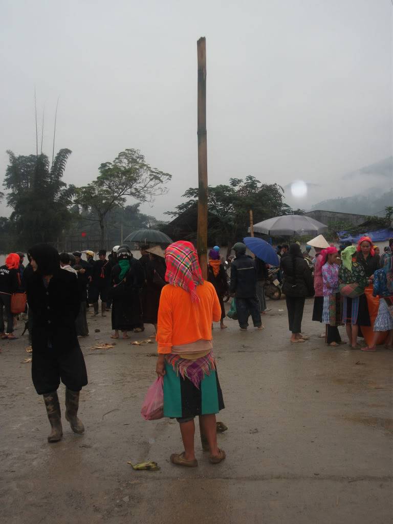 DSCF0839.jpg