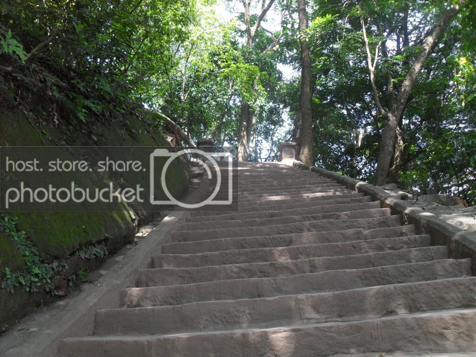 SDC14650.jpg