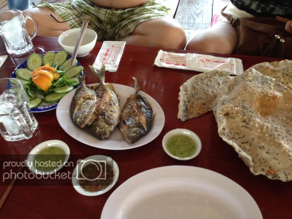 IMG_0744_zps7713654f.jpg