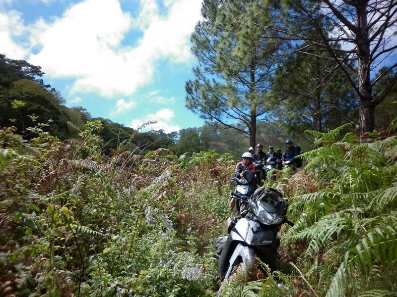 P1000658.jpg
