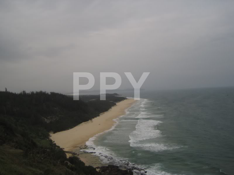 IMG_0313Copy.jpg